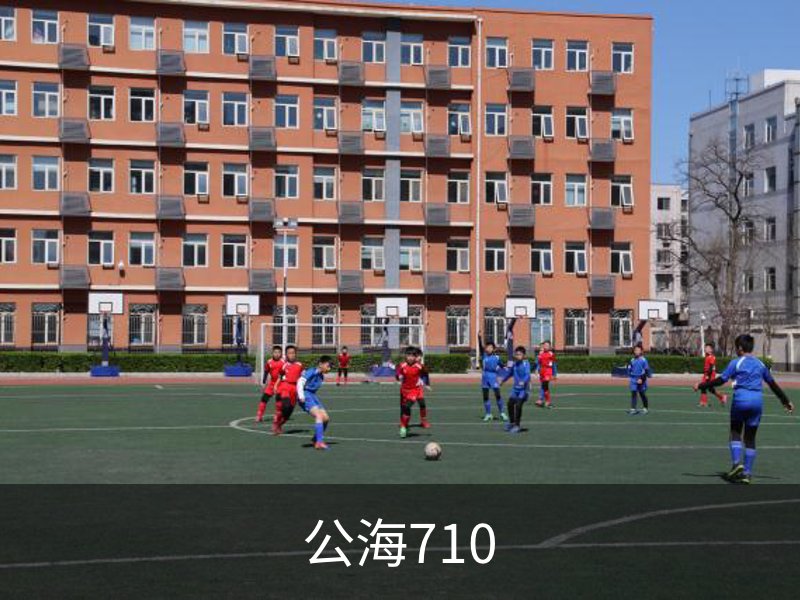 公海710(中国)官方网站